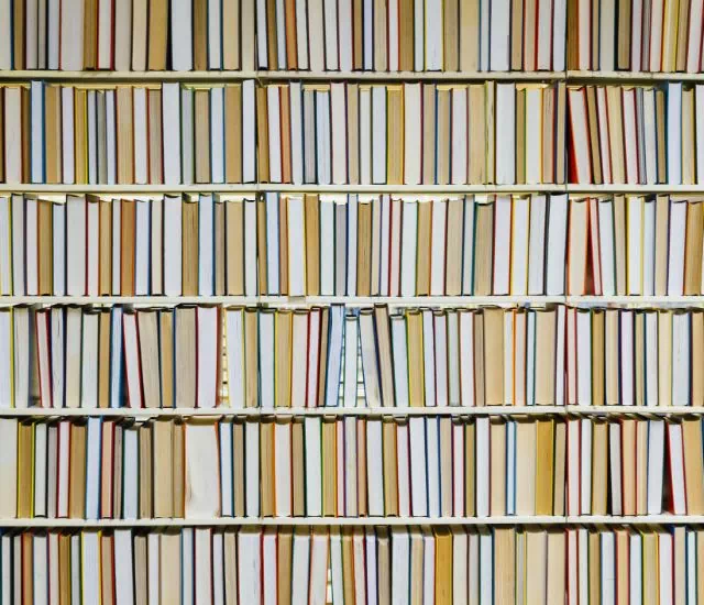 półki z książkami i podręcznikami
